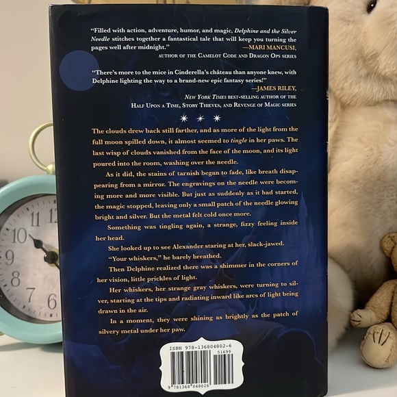 Delphine and The Silver Needle by Alyssa Moon Hardcover Novel - Picture 4 of 7